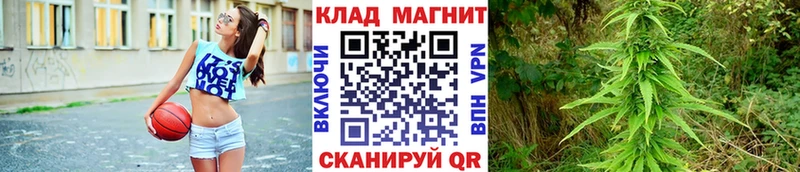 Где купить наркотики Никольское мега как войти Амфетамин Конопля ГАШ Кокаин