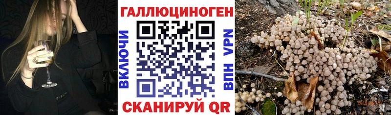 Галлюциногенные грибы прущие грибы  Никольское 