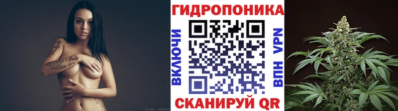 купить наркоту  Никольское  Бошки Шишки Bruce Banner 